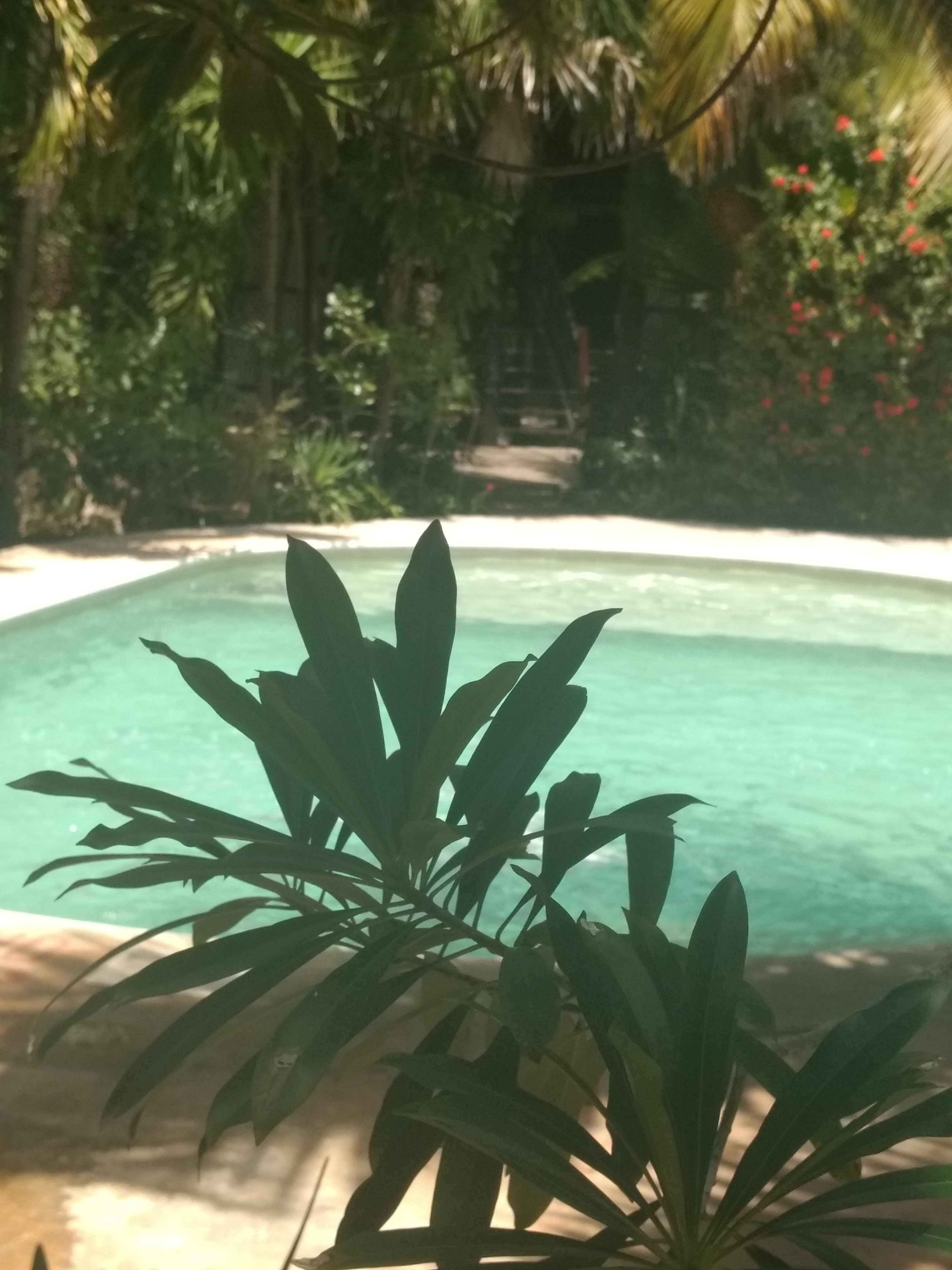 Green Tulum Cabanas & Gardens Dış mekan fotoğraf